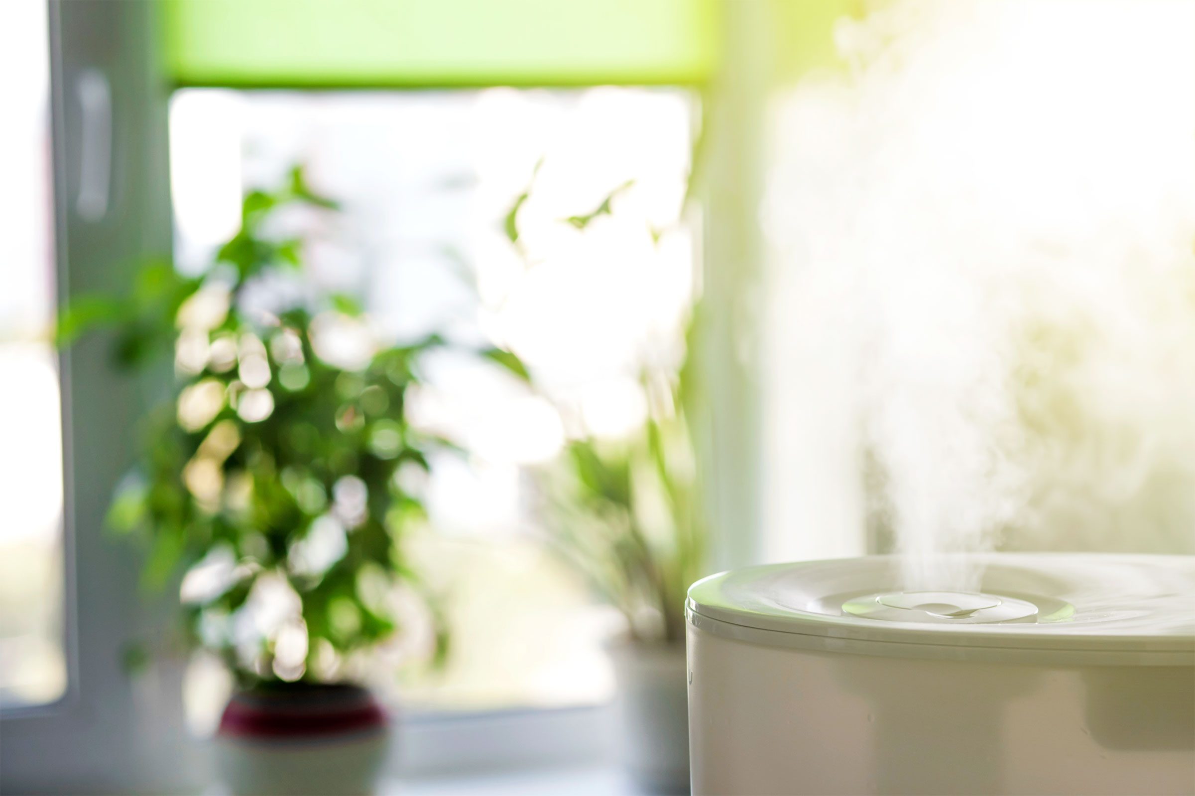 How to Choose the Best Humidifier for Your Space