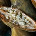 Baobab Fruit: 10 Things Nutritionists Need You to Know