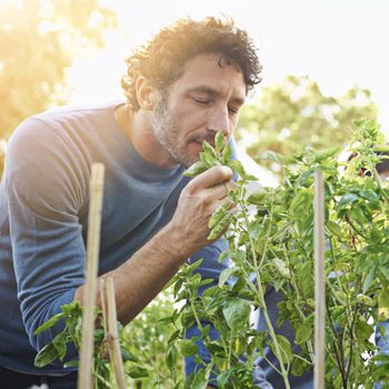 Man Smelling Fresh Herbs In The Garden