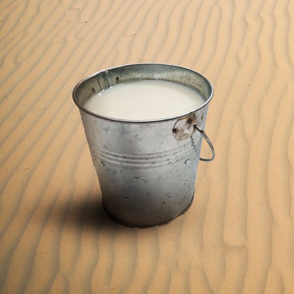 What Is Camel Milk and Should You Drink It?