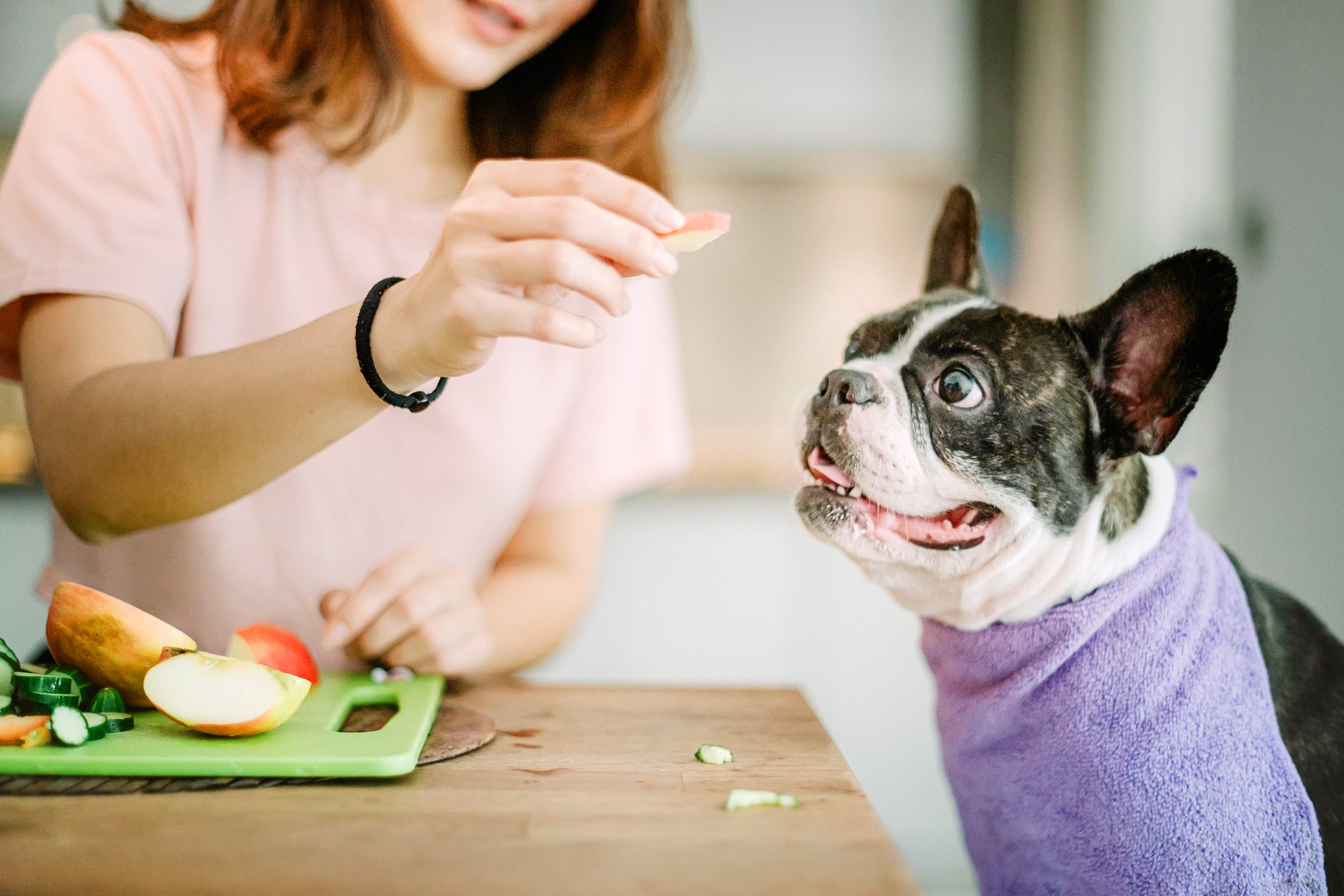 Can Dogs Eat Apples? Here’s the Answer Multiple Veterinarians Give